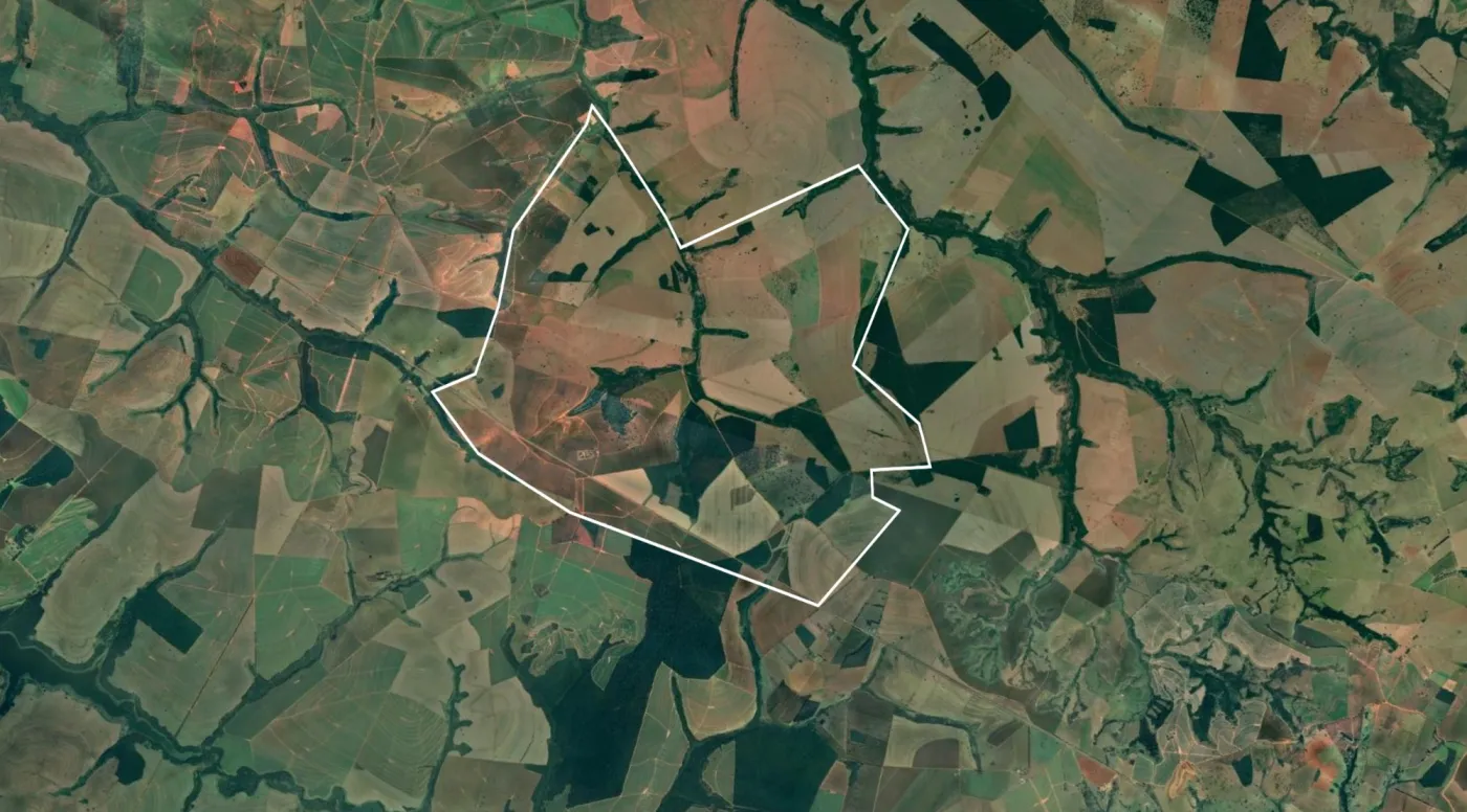 Satellite view of Area B, a restoration site in the Cerrado
