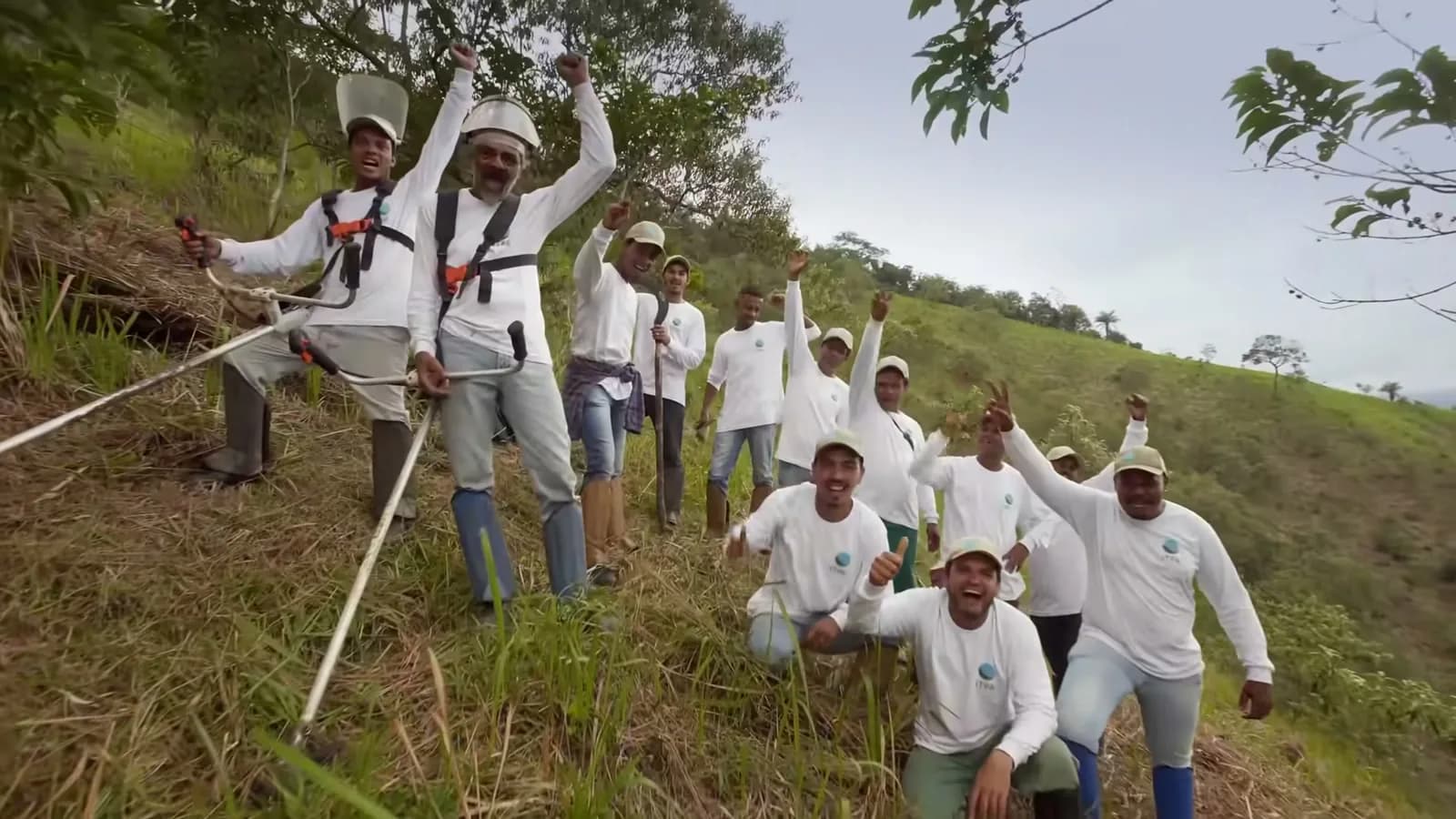 The ITPA field crew on a cleared hillside in the Atlantic Forest