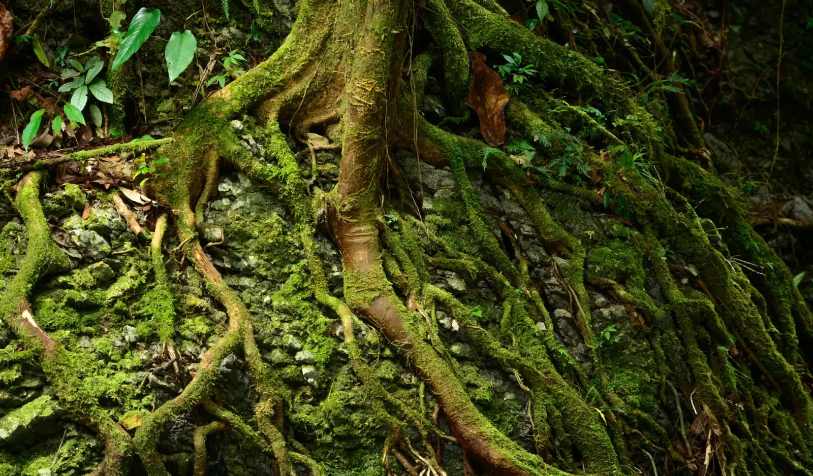 Lessons from the IPCC report