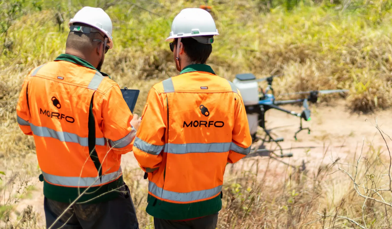 Reforestation in the Atlantic Forest of Brazil by MORFO