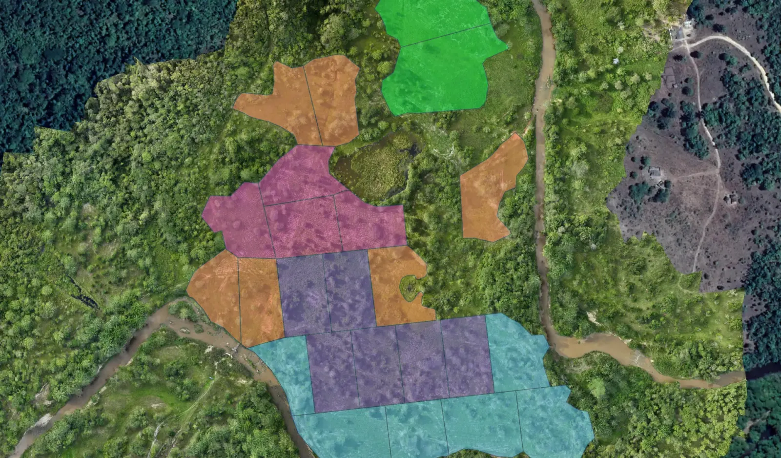 Who to contact for a reforestation diagnosis