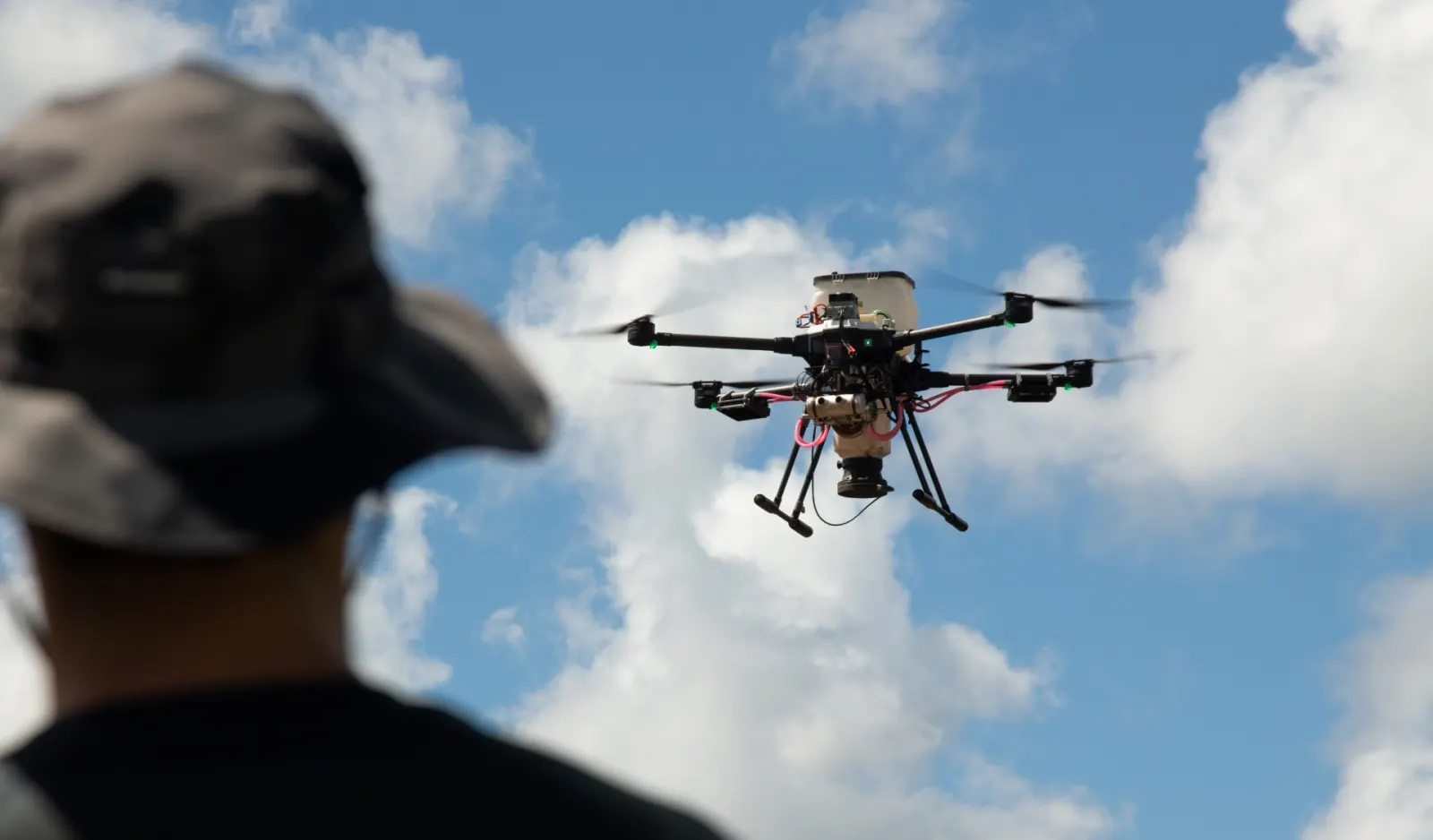 How Drone Reforestation and Manual Planting Work Together