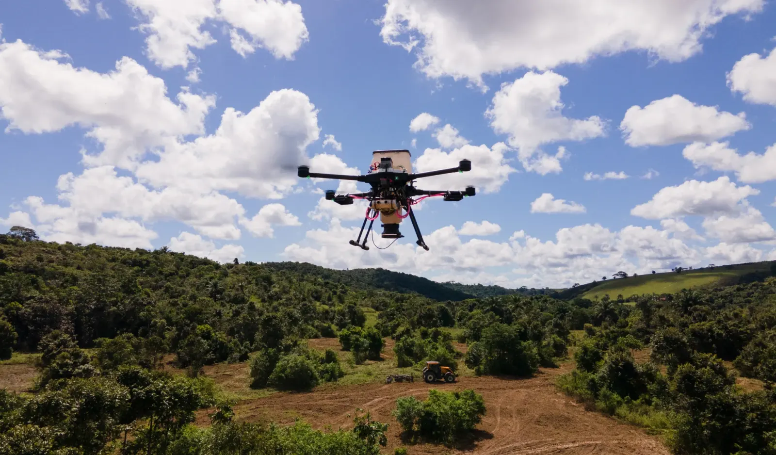 morfo drone reforestation solution