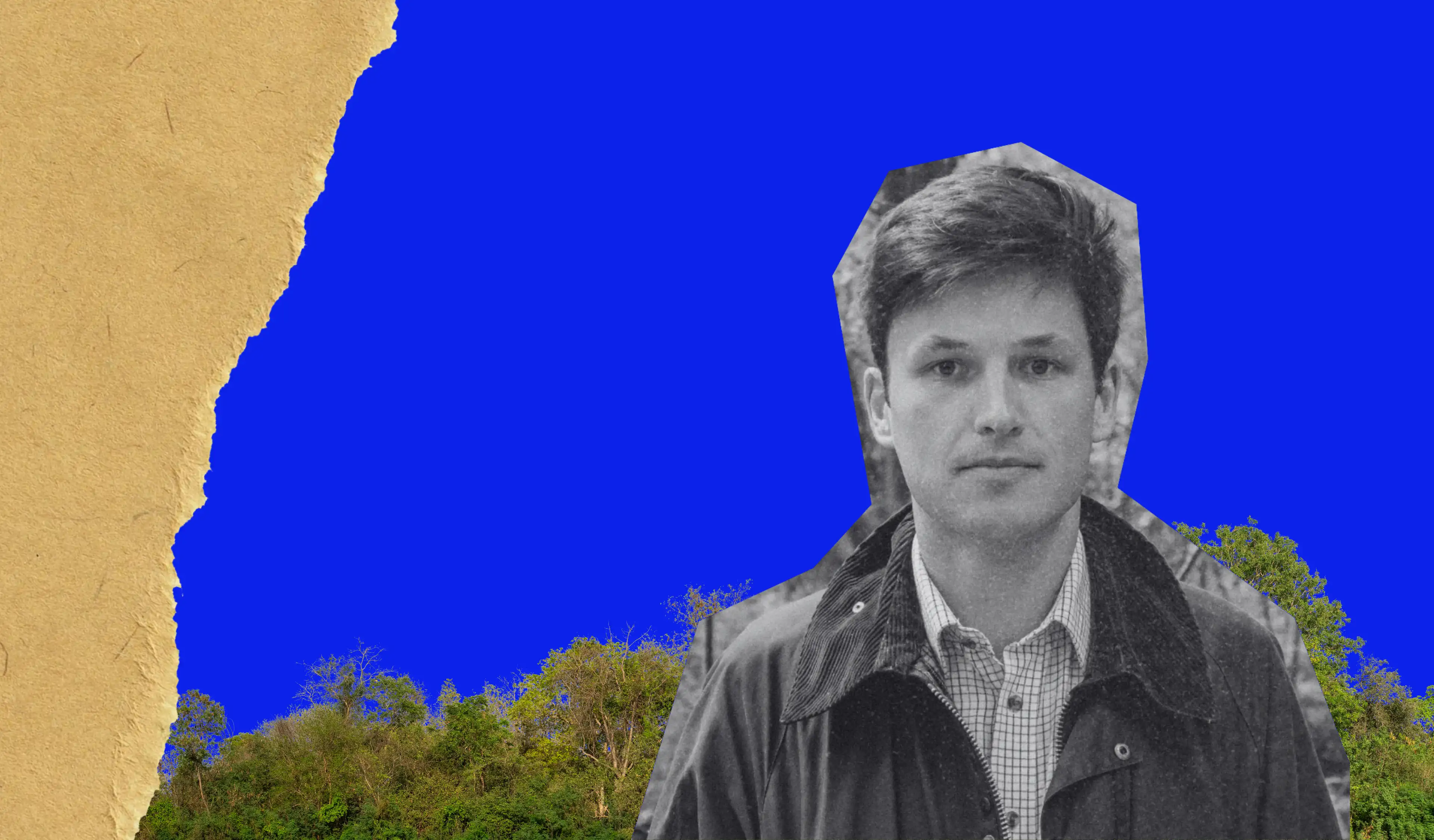 The Future of Reforestation Carbon Credits