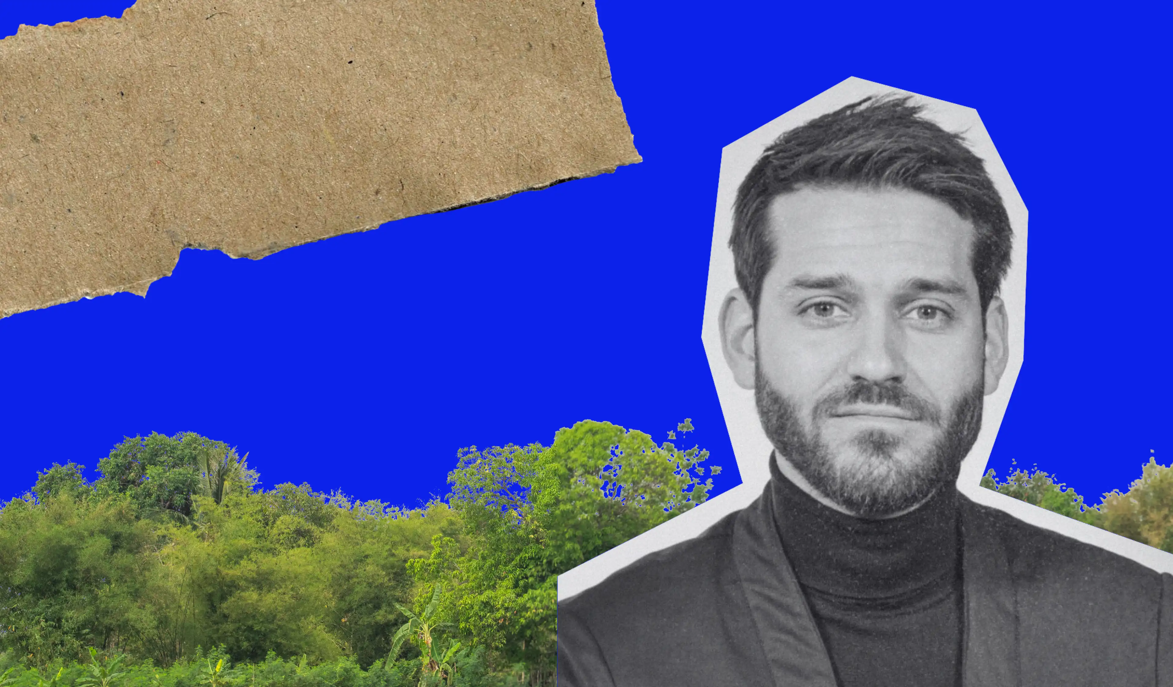 "The Future of Reforestation Carbon Credits