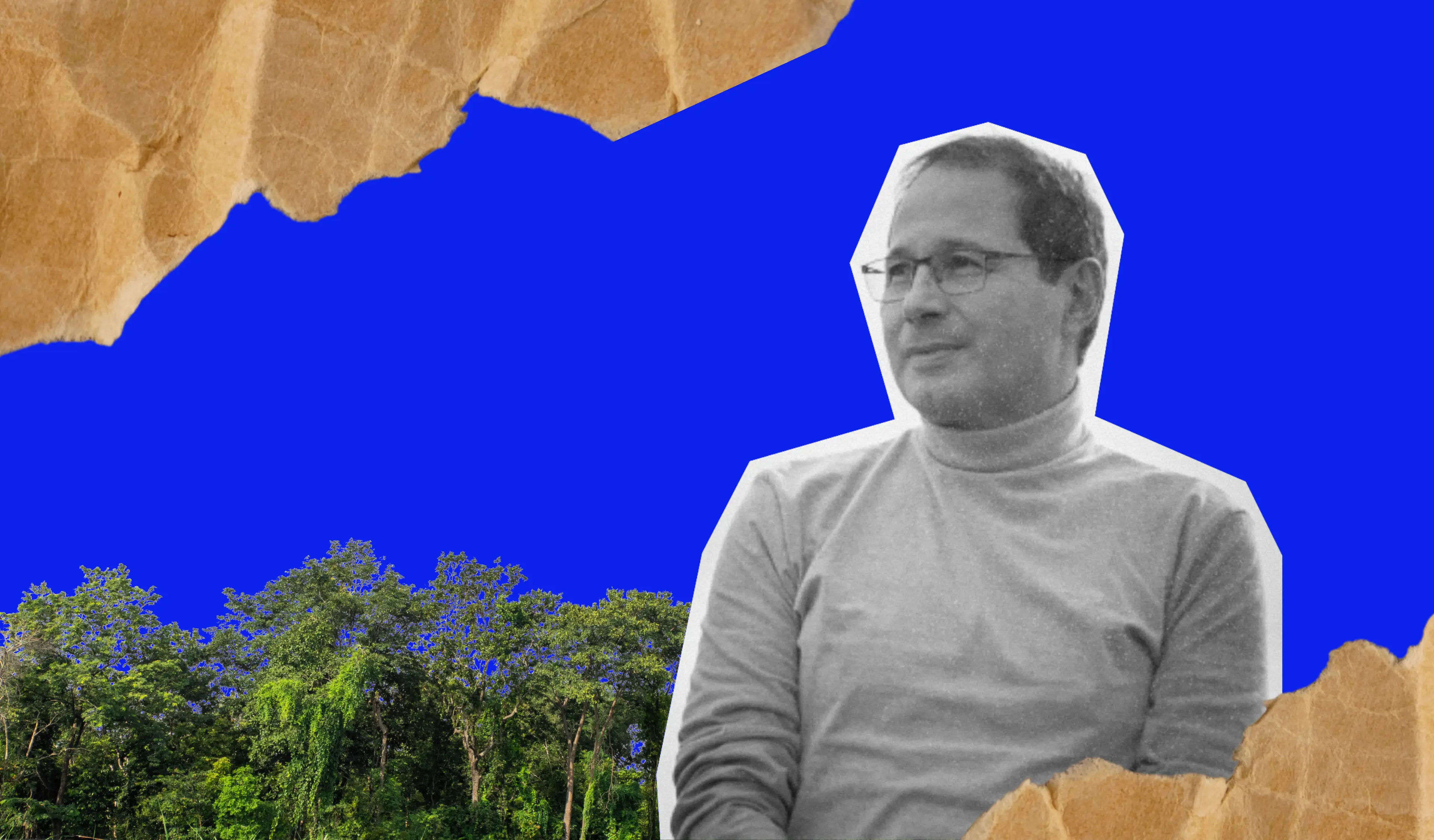 The Issue Isn’t Funding Reforestation; It’s with the Instrument Itself