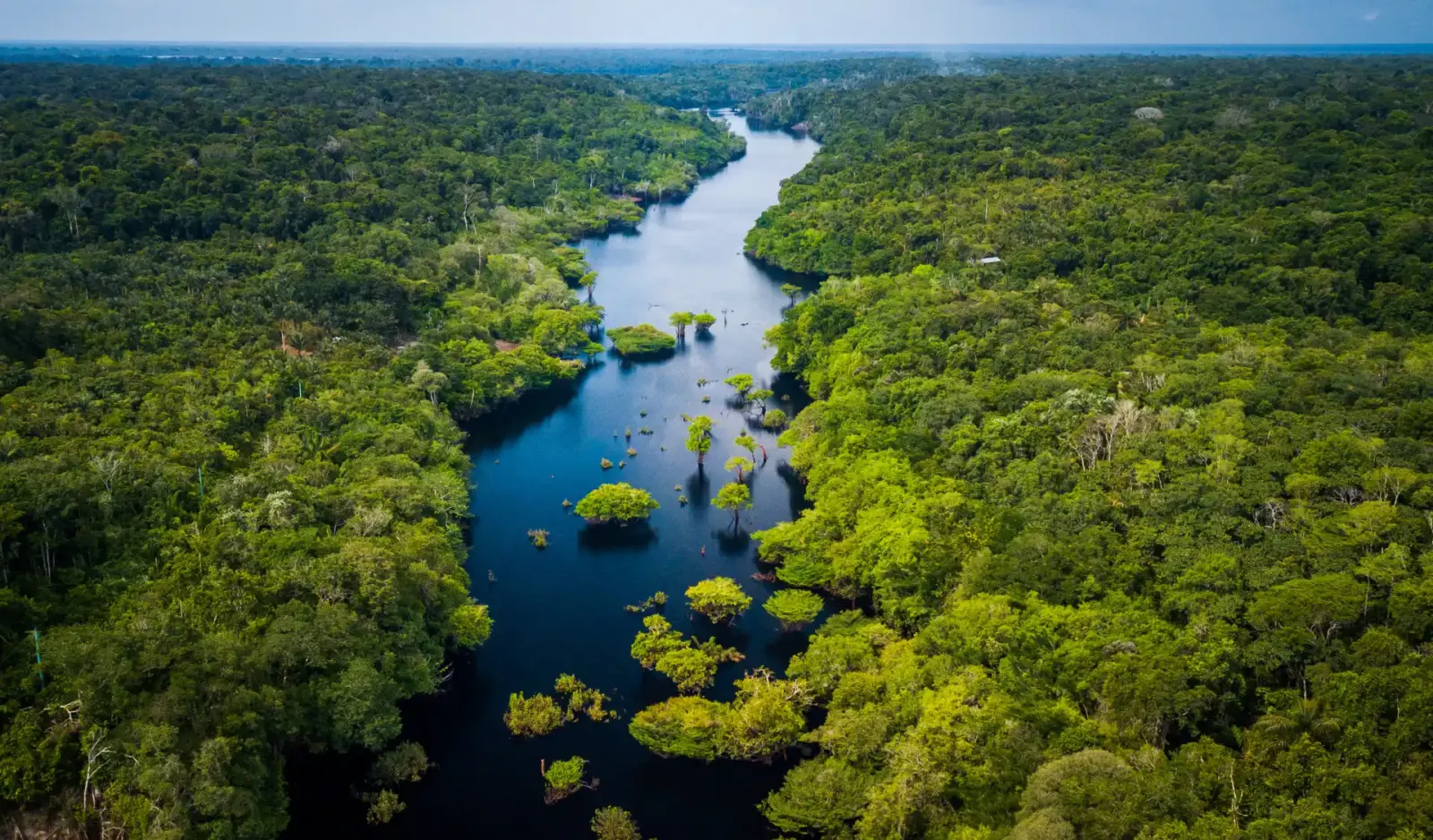 MORFO at the One Forest Summit in Libreville in March 2023