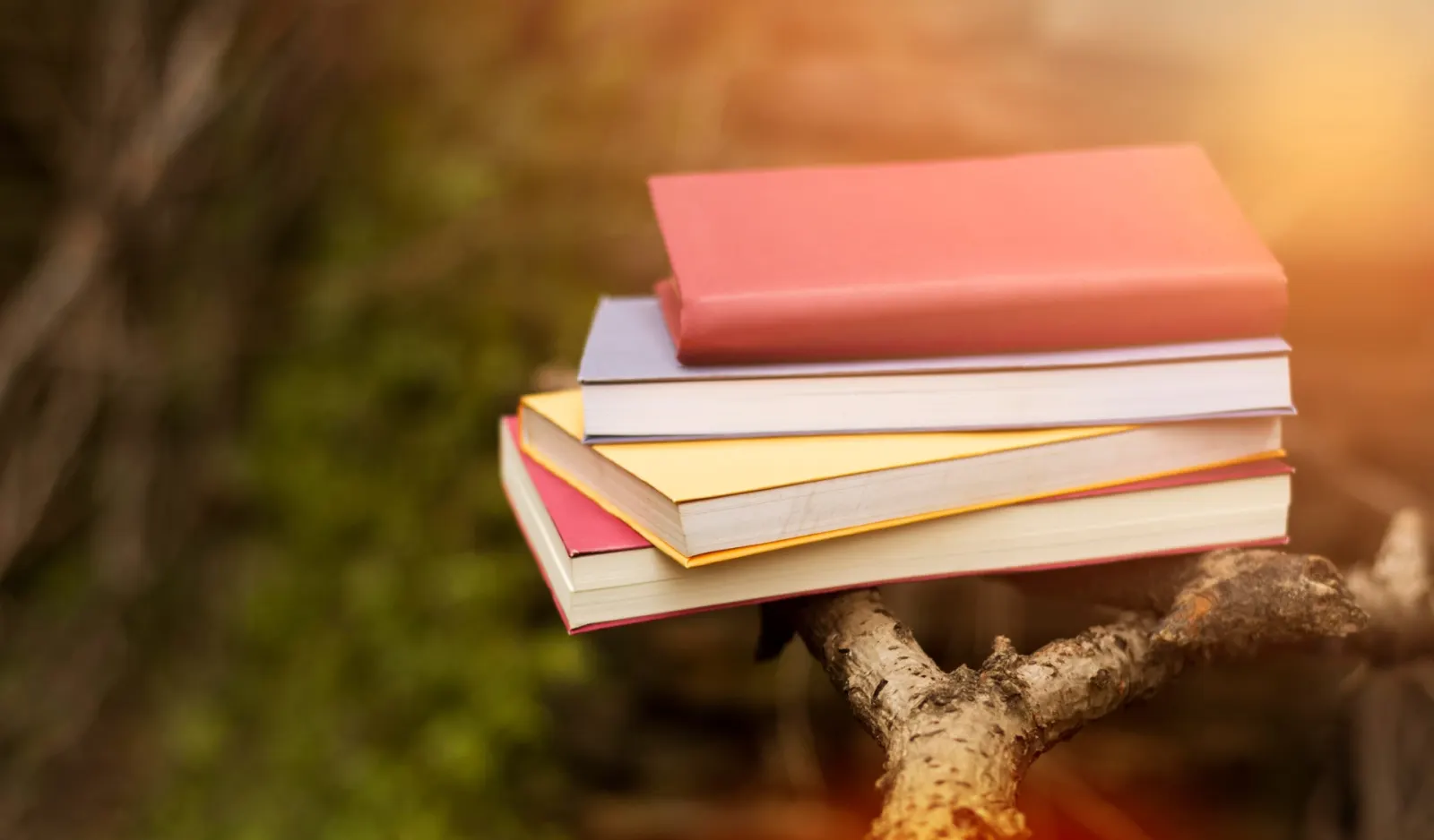 Reforestation and forestry vocabulary