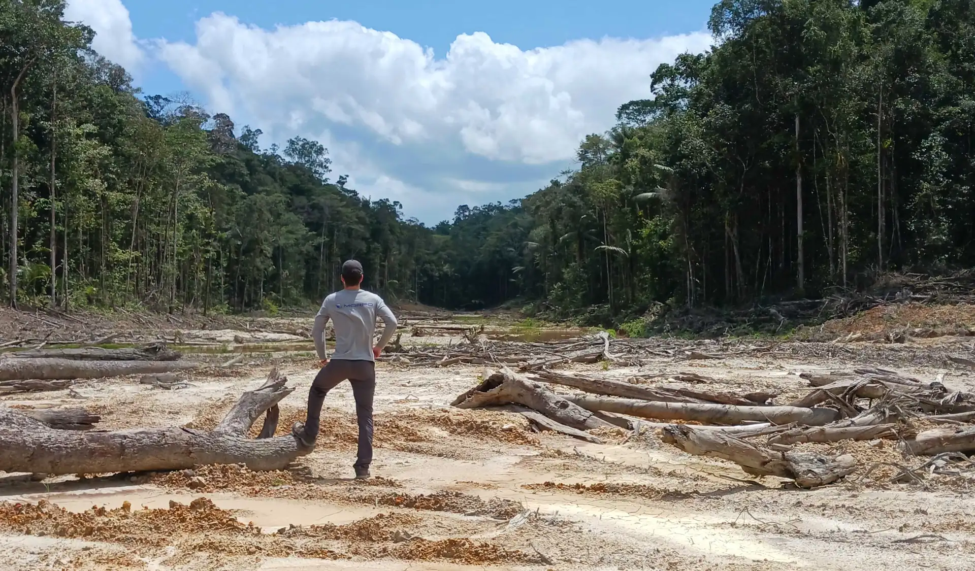 mining site successful reforestation