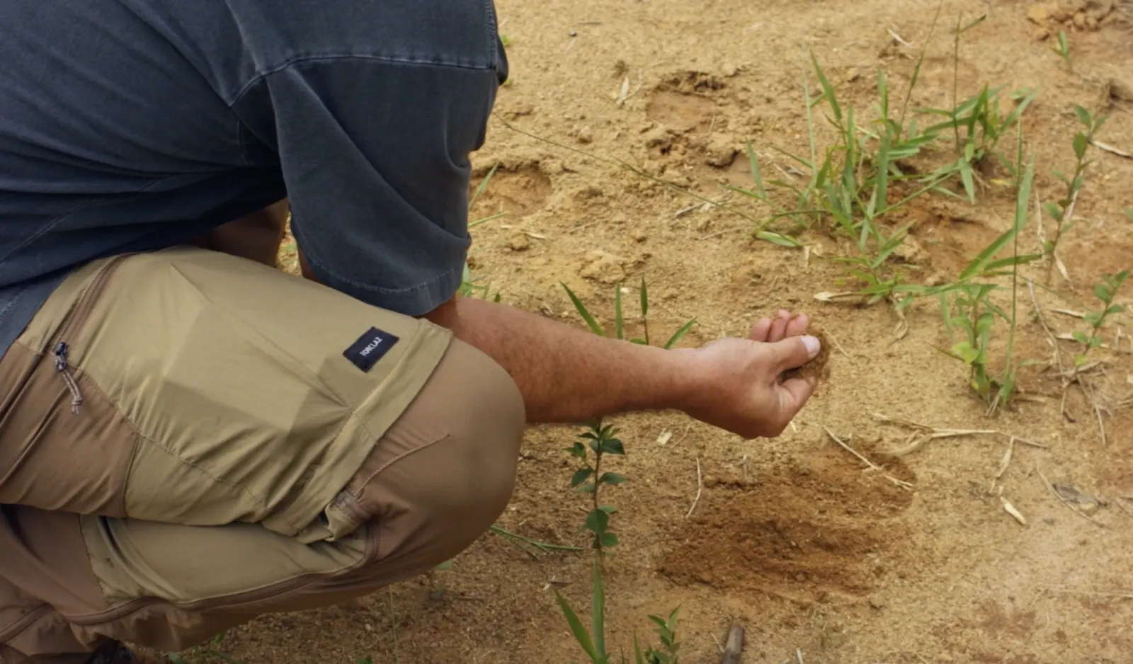 how to analyze the soil before restoring