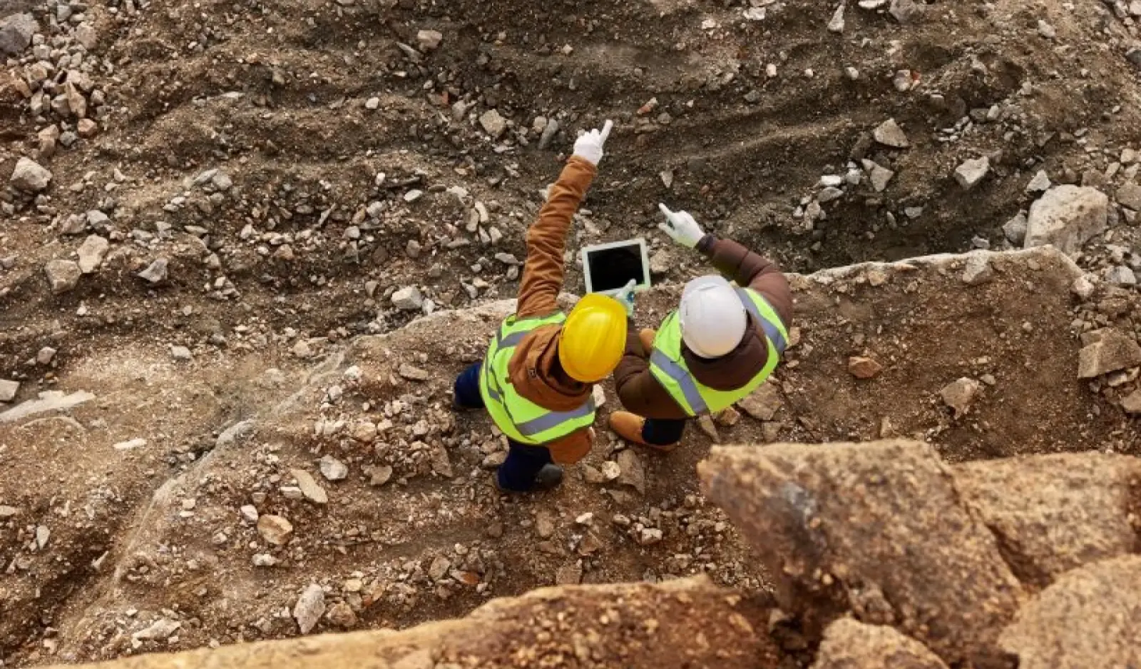 MORFO is the best reforestation and forest restoration solution for mining sites
