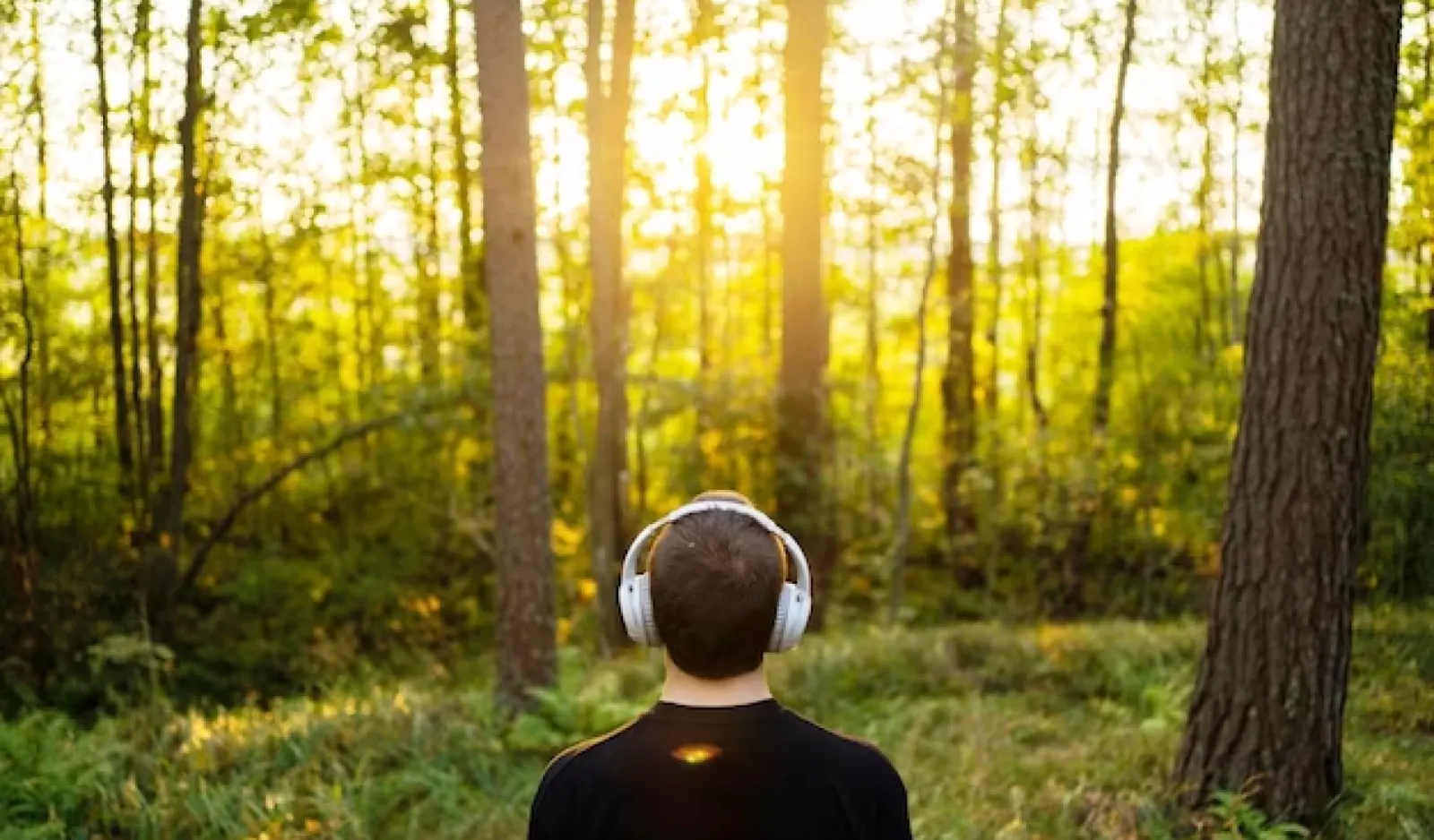 Top 16 best podcasts on climate change & carbon solutions