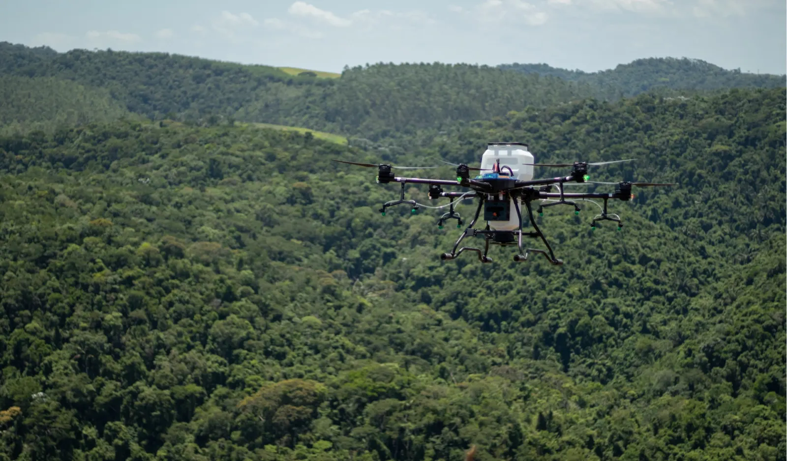 Best innovators in reforestation and environment: Trillion Trees challenge