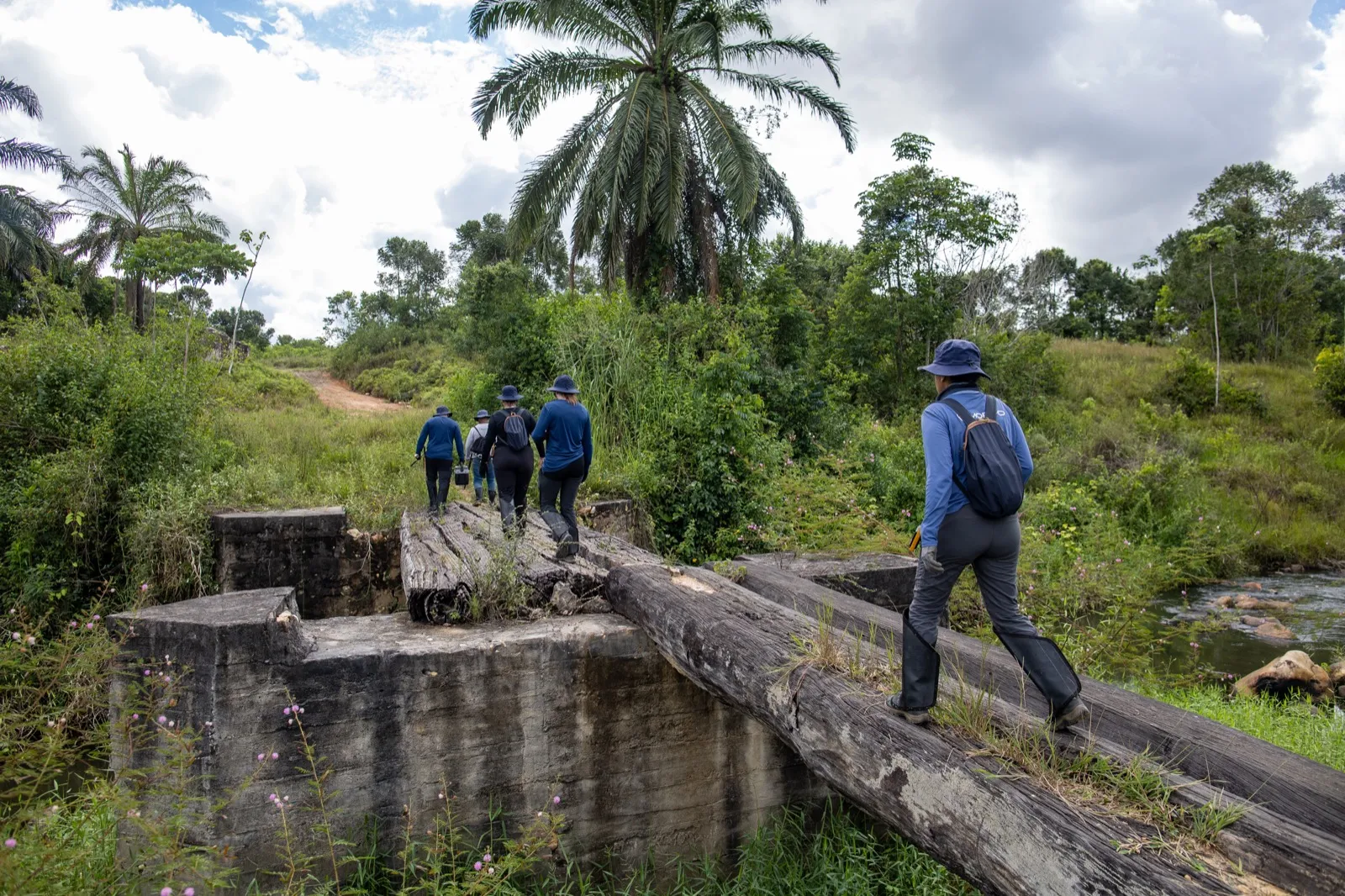 A MORFO field team crossing to a restoration site