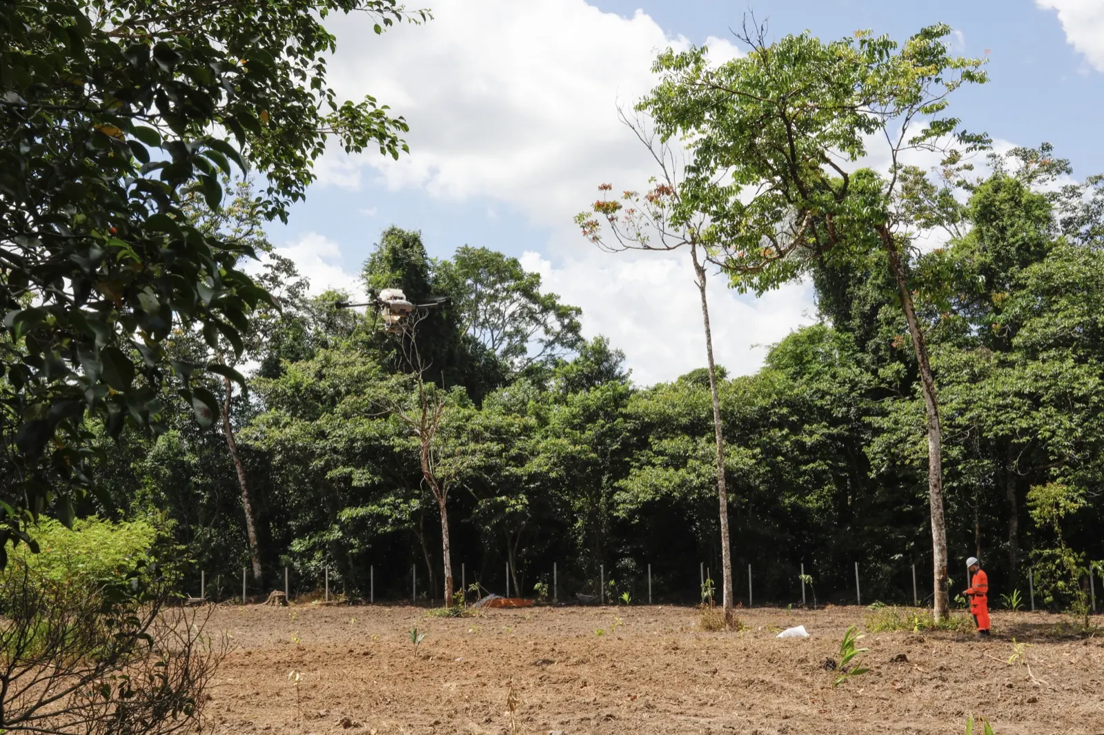 A drone seeding a prepared restoration site, with standing forest behind
