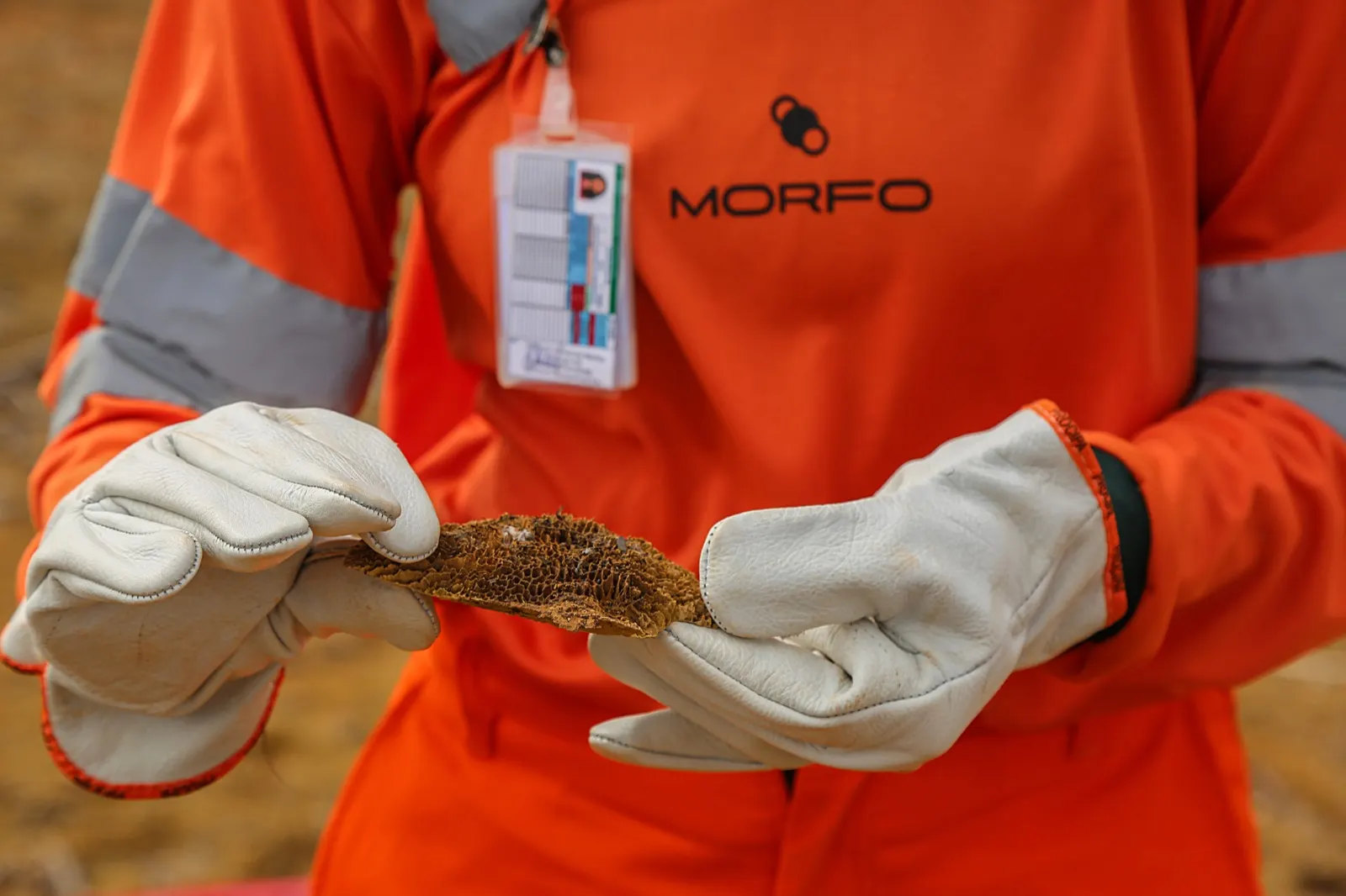 A MORFO field agent holding a seed capsule on site