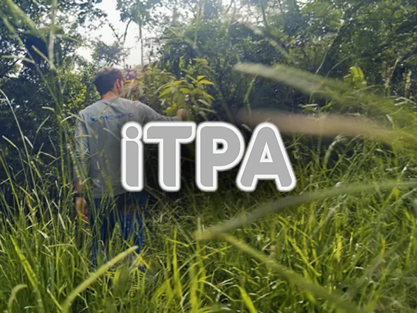 ITPA restoration at Fazenda das Palmas, Vassouras
