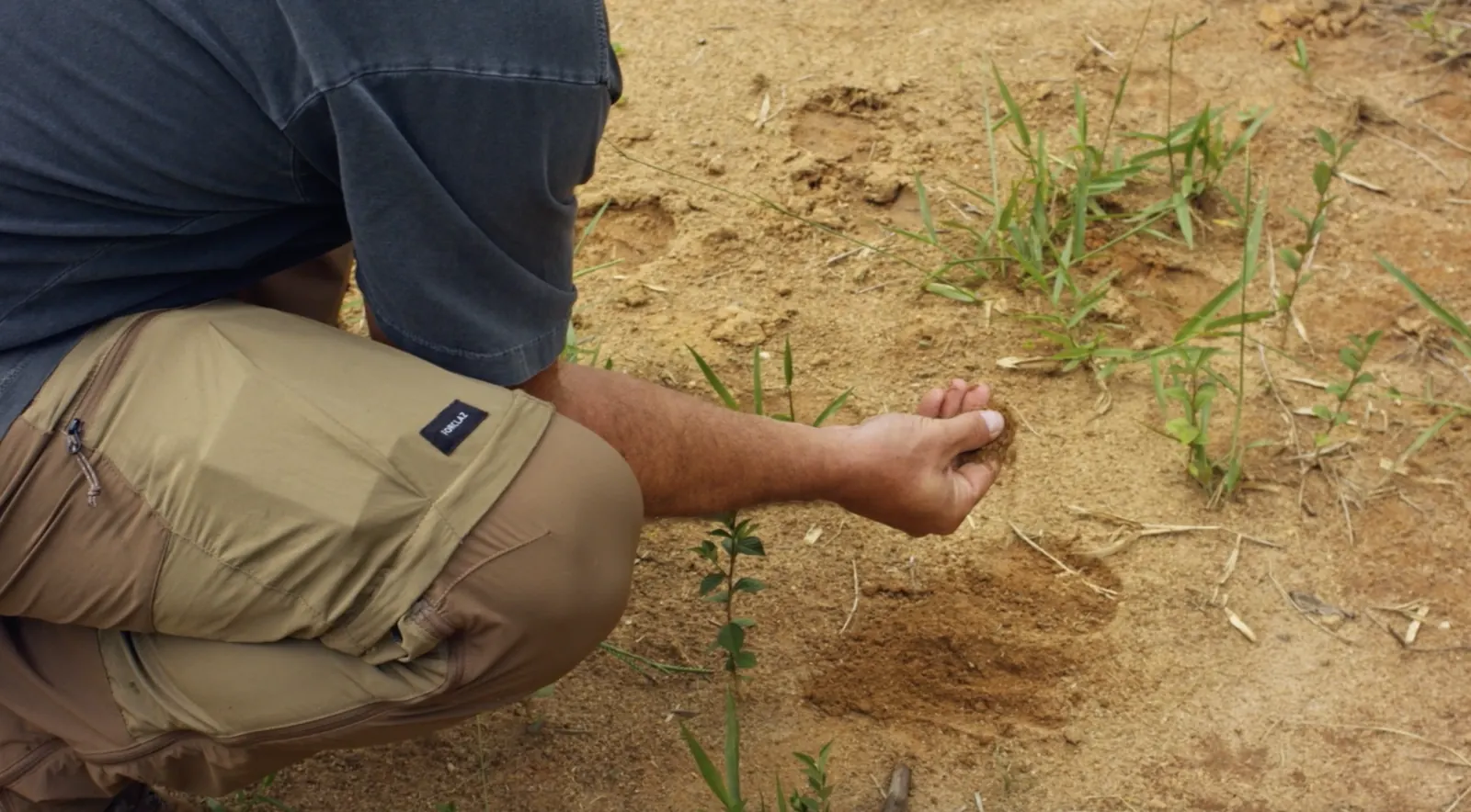 A field agent reading the sandy, eroded soil at Fazenda das Palmas