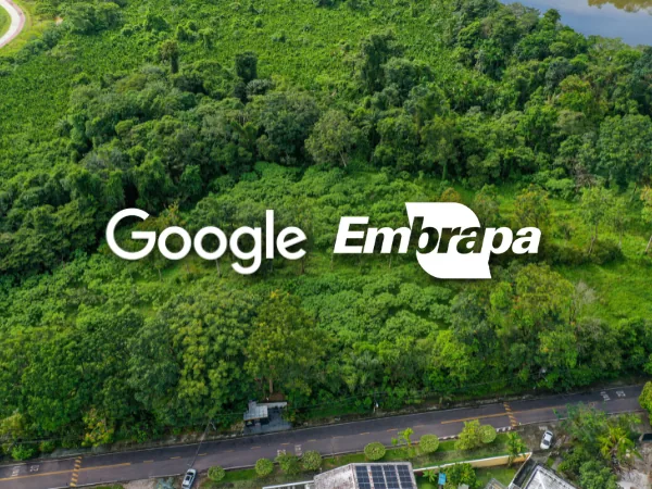 MORFO restoration site with Google and Embrapa in Pará