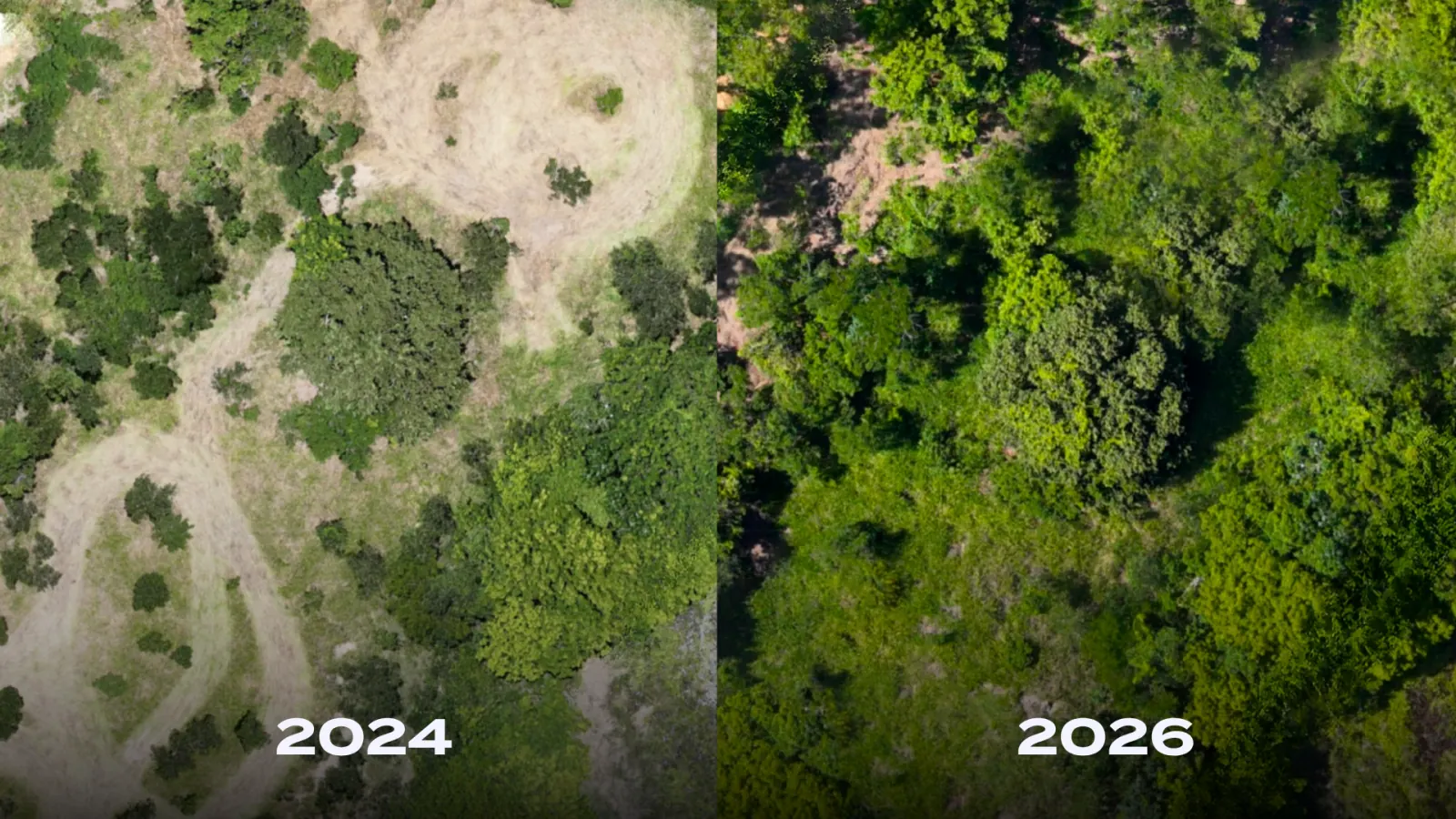 Aerial view of the same corridor strip in 2024 and in 2026