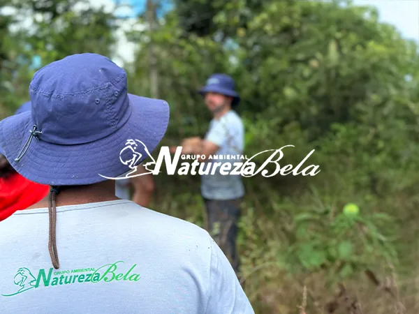 Natureza Bela restoration site in Bahia