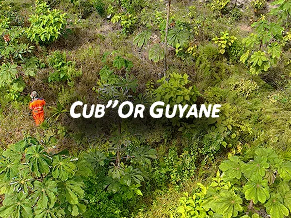 Post-mining restoration site in French Guiana