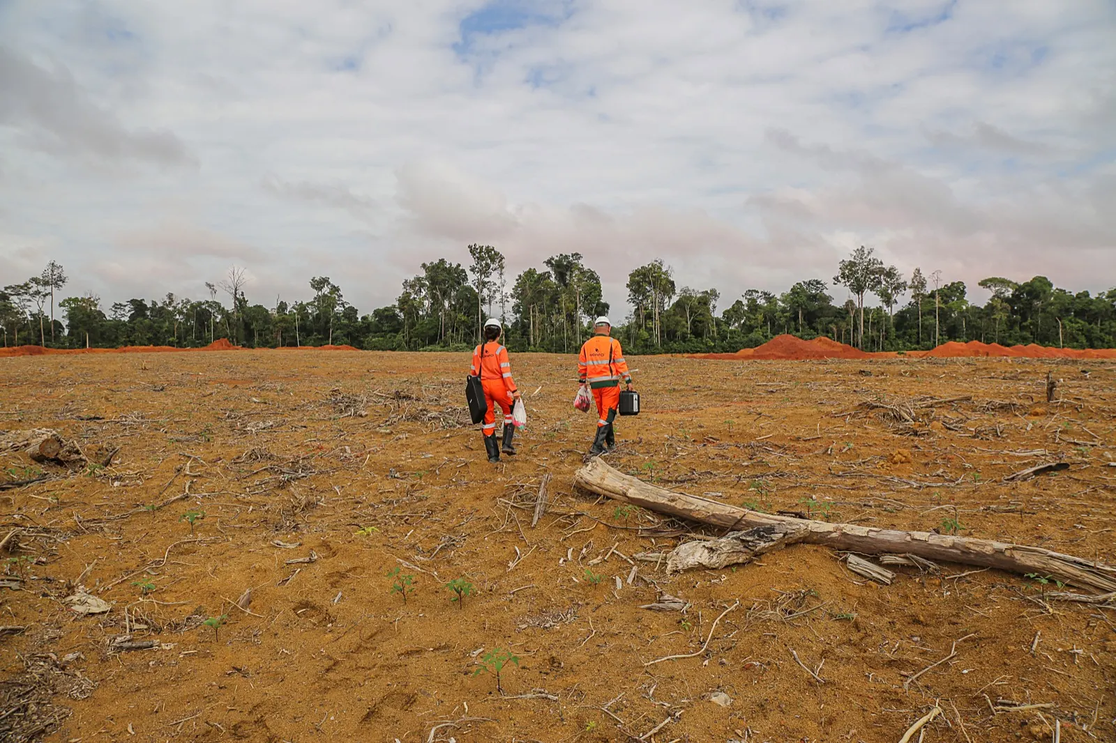 MORFO field team on the Hydro mine rehabilitation site in Pará