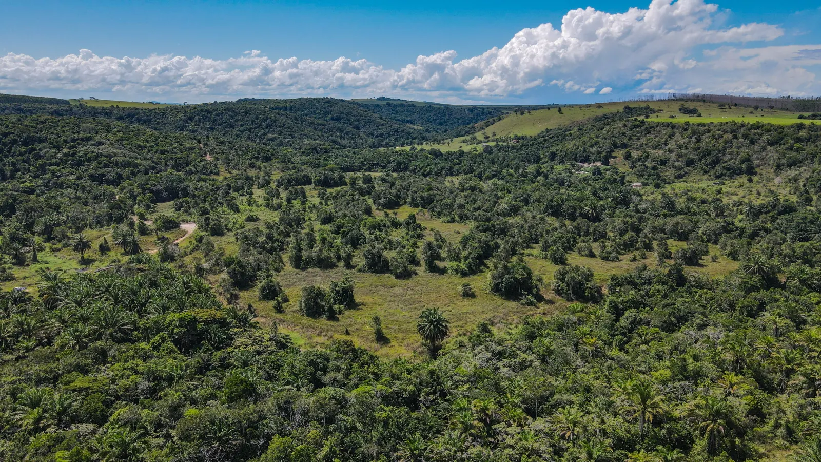 Aerial view of Cerrado and Atlantic Forest vegetation in Minas Gerais